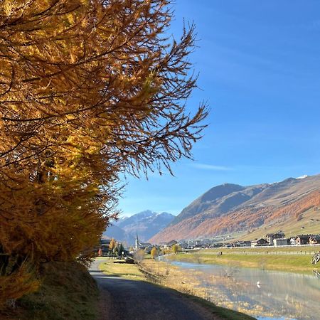 Chalet Shany Livigno Exterior foto